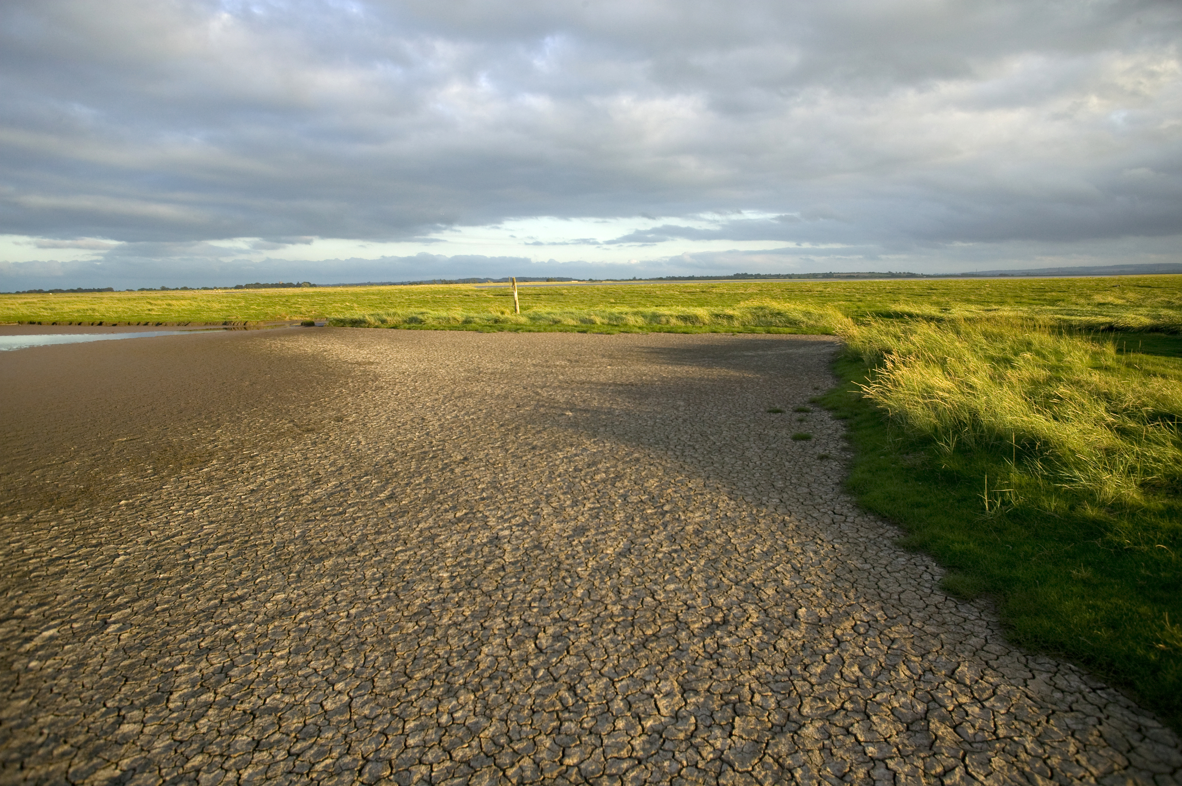 Dry saltmarsh pan with cracking after drought Bridgewater Bay NNR Severn Estuary Somerset, England, August 2009